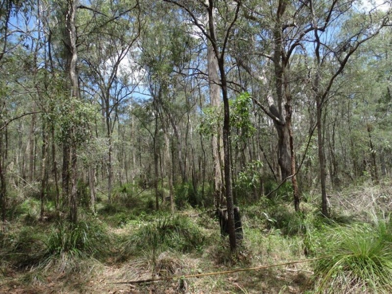 Lot 9 Muller Road, Baffle Creek QLD 4674