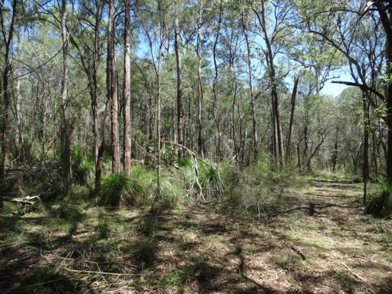 Lot 9 Muller Road, Baffle Creek QLD 4674