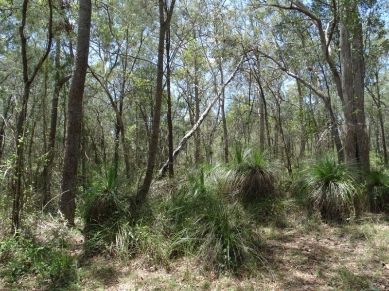 Lot 9 Muller Road, Baffle Creek QLD 4674