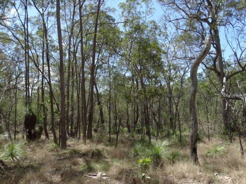 Lot 9 Muller Road, Baffle Creek QLD 4674