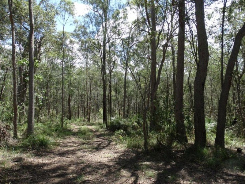 Lot 9 Muller Road, Baffle Creek QLD 4674