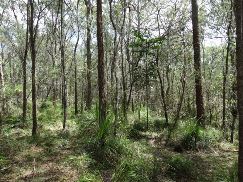 Lot 9 Muller Road, Baffle Creek QLD 4674