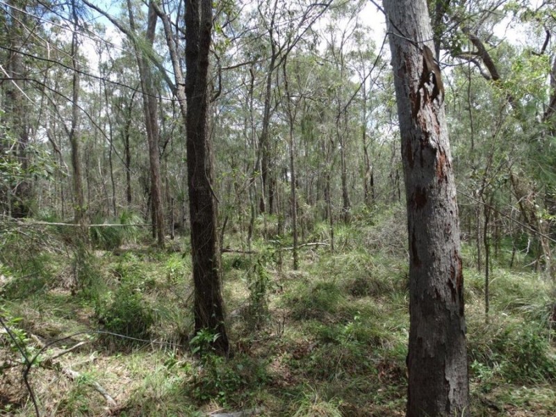 Lot 9 Muller Road, Baffle Creek QLD 4674