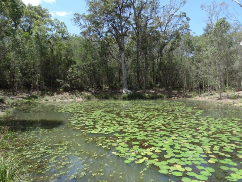 Lot 9 Muller Road, Baffle Creek QLD 4674