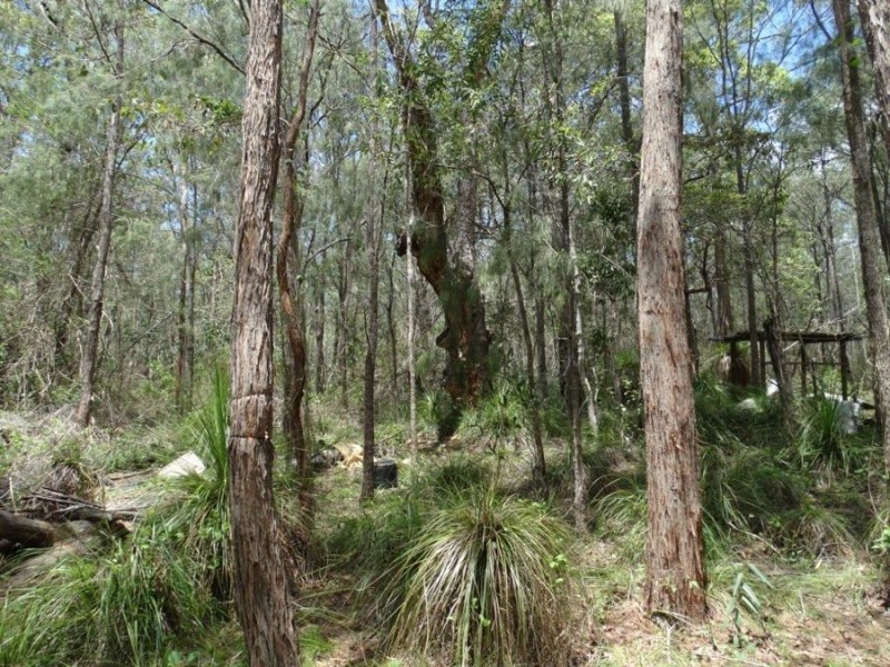 Lot 9 Muller Road, Baffle Creek QLD 4674