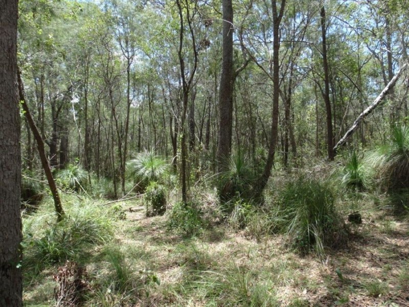 Lot 9 Muller Road, Baffle Creek QLD 4674
