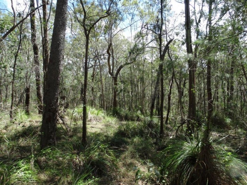 Lot 9 Muller Road, Baffle Creek QLD 4674