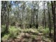 Lot 9 Muller Road, Baffle Creek QLD 4674