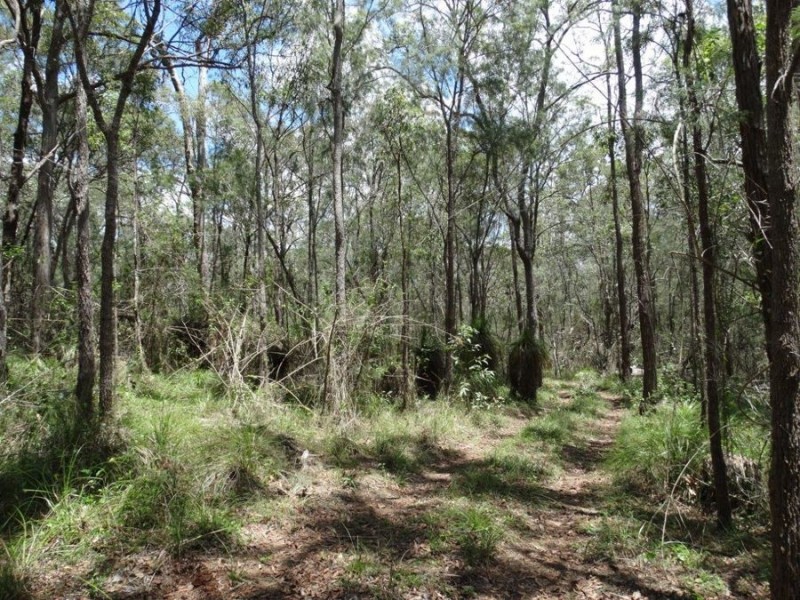 Lot 9 Muller Road, Baffle Creek QLD 4674