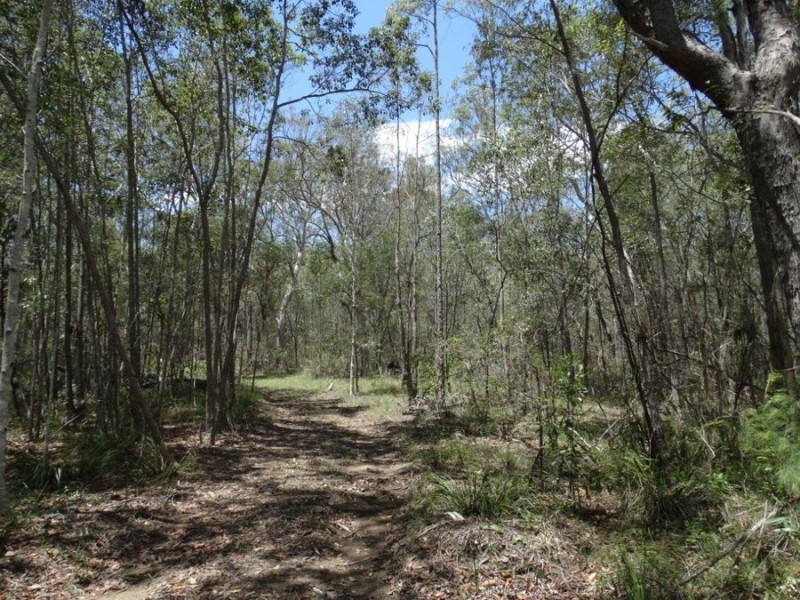 Lot 9 Muller Road, Baffle Creek QLD 4674