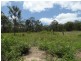Lot 1 Monduran Road, Yandaran QLD 4673