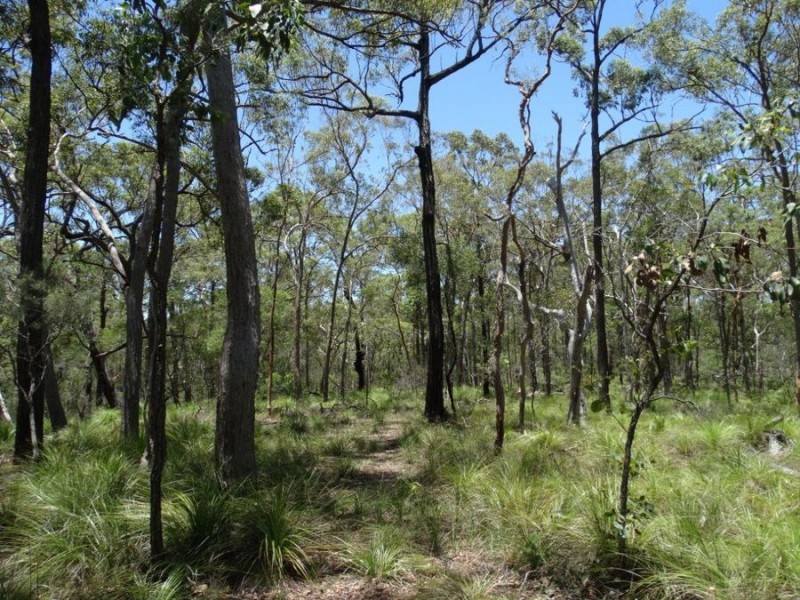 1085 Coast Road, Baffle Creek QLD 4674