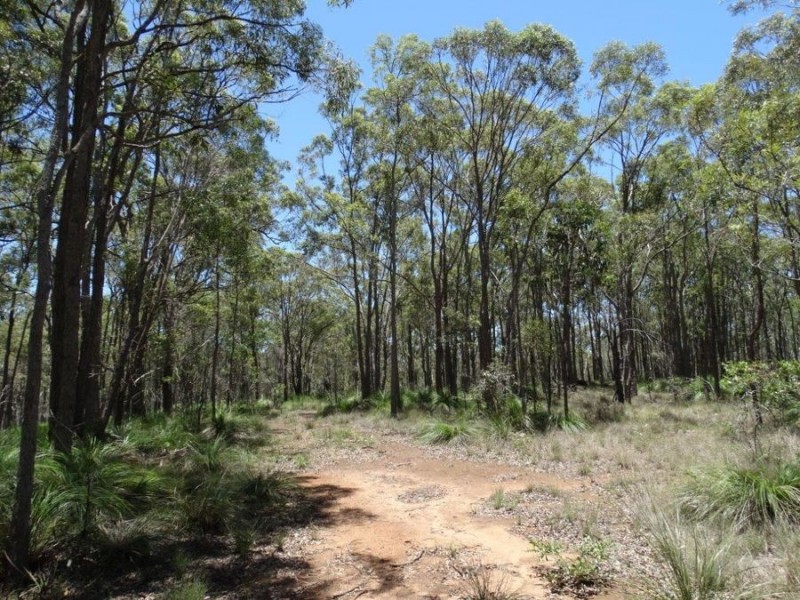 1085 Coast Road, Baffle Creek QLD 4674