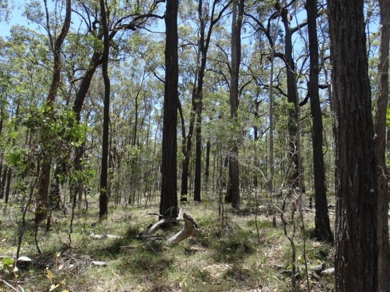 1085 Coast Road, Baffle Creek QLD 4674