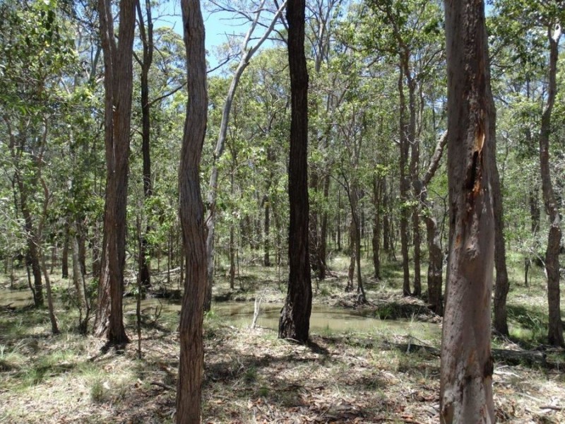 1085 Coast Road, Baffle Creek QLD 4674