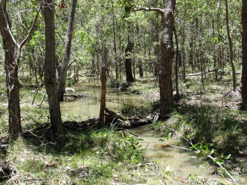 1085 Coast Road, Baffle Creek QLD 4674