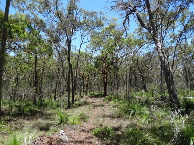 1085 Coast Road, Baffle Creek QLD 4674