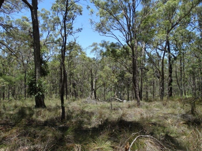 1085 Coast Road, Baffle Creek QLD 4674