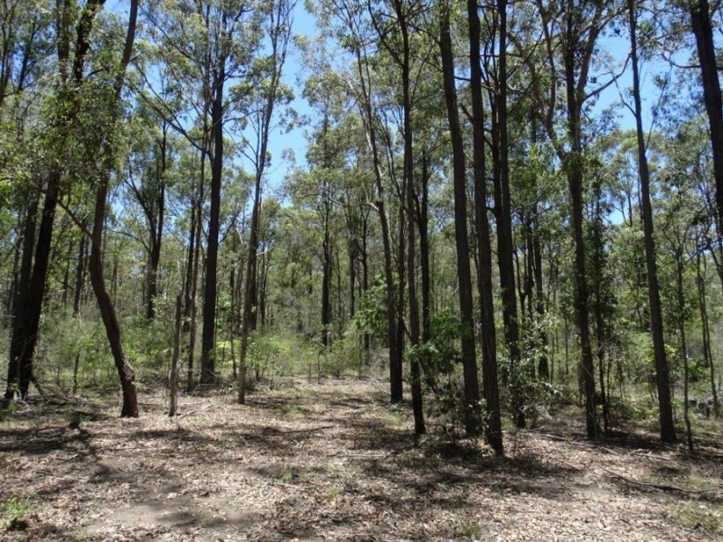 1085 Coast Road, Baffle Creek QLD 4674