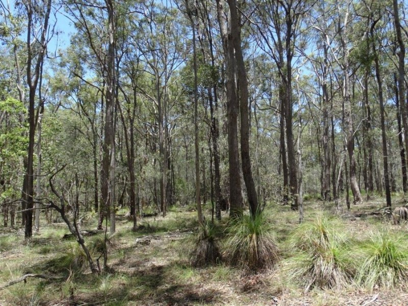 1085 Coast Road, Baffle Creek QLD 4674