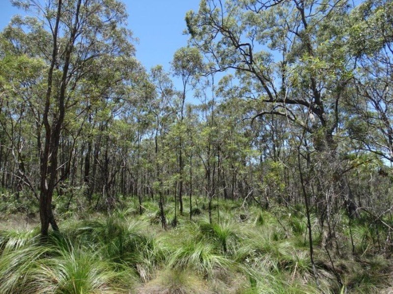 1085 Coast Road, Baffle Creek QLD 4674