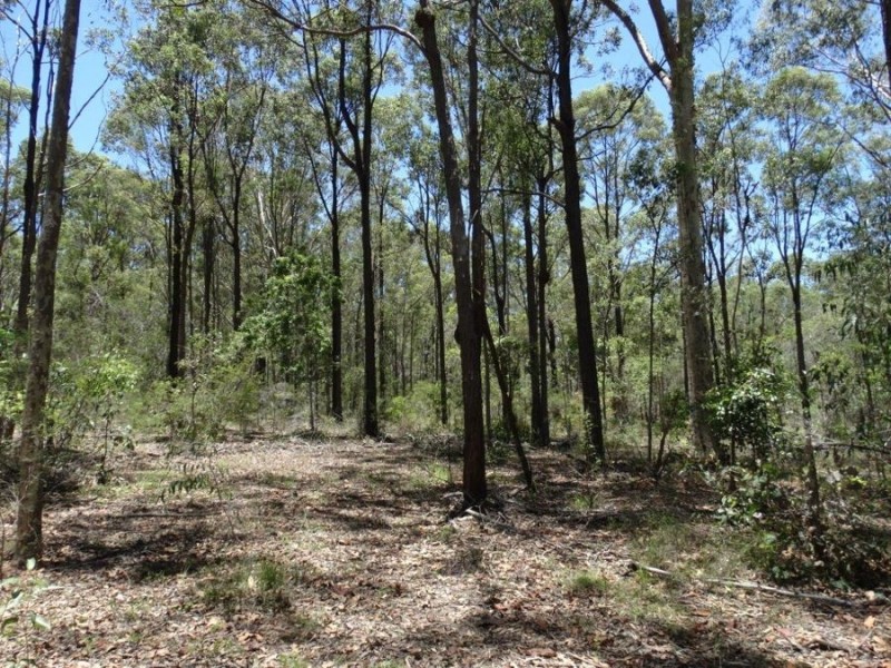 1085 Coast Road, Baffle Creek QLD 4674