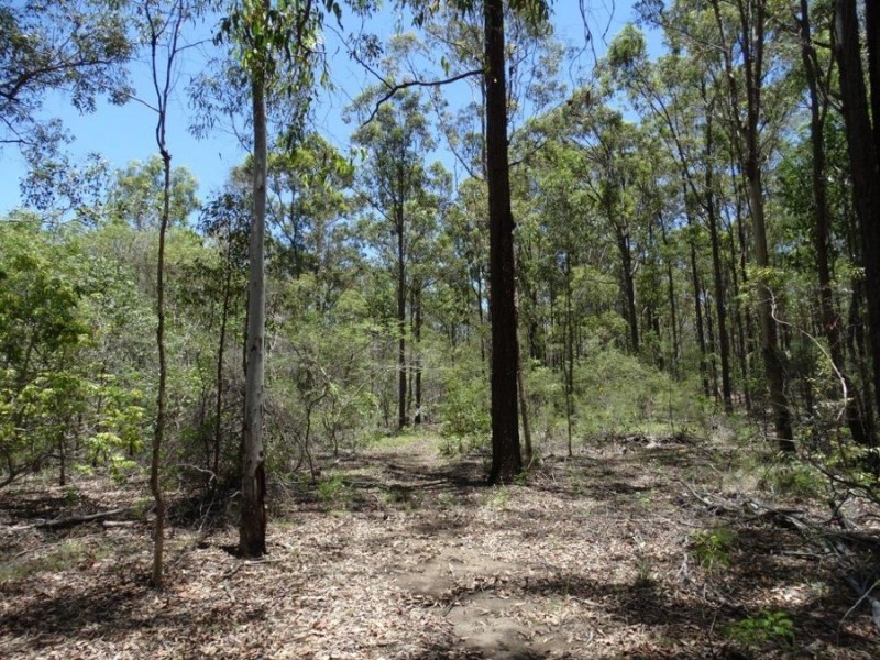 1085 Coast Road, Baffle Creek QLD 4674