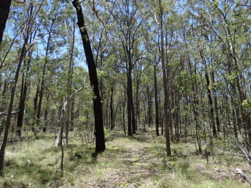 1085 Coast Road, Baffle Creek QLD 4674