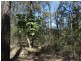 1085 Coast Road, Baffle Creek QLD 4674