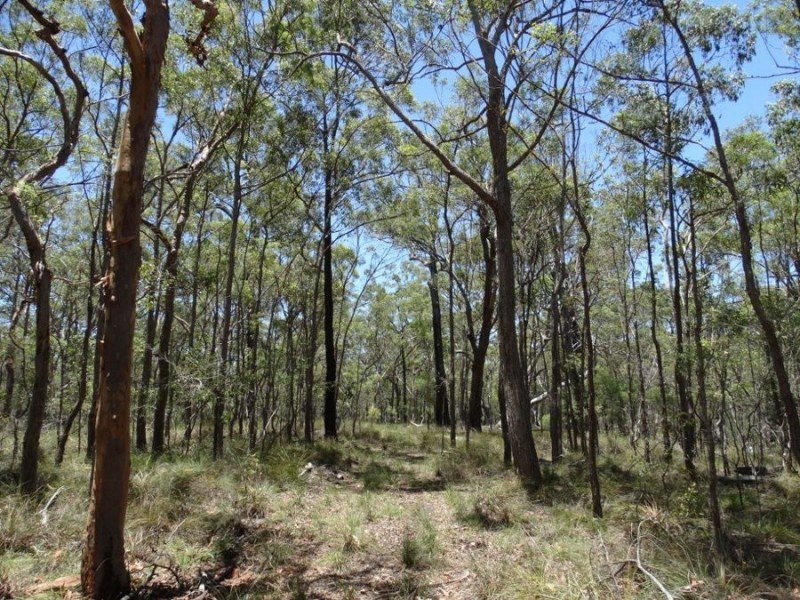 1085 Coast Road, Baffle Creek QLD 4674