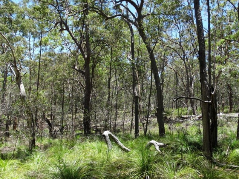 1085 Coast Road, Baffle Creek QLD 4674