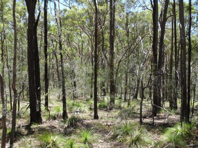 1085 Coast Road, Baffle Creek QLD 4674