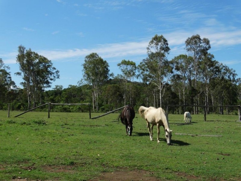 26 Kirchner Road, Oyster Creek QLD 4674