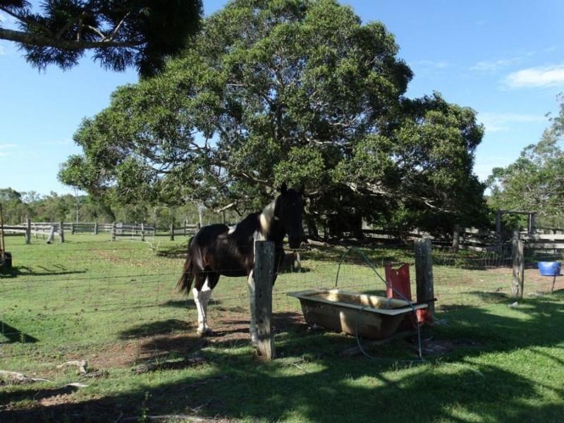 26 Kirchner Road, Oyster Creek QLD 4674