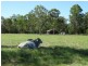 Lot 63 Taunton Road, Euleilah QLD 4674