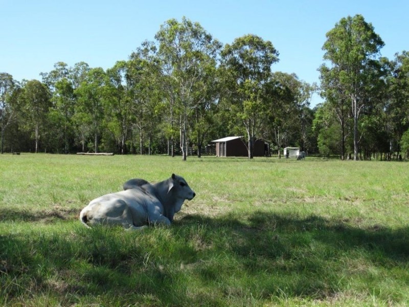 Lot 63 Taunton Road, Euleilah QLD 4674
