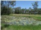 Lot 63 Taunton Road, Euleilah QLD 4674