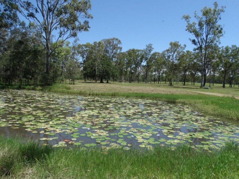 Lot 63 Taunton Road, Euleilah QLD 4674