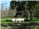 Lot 63 Taunton Road, Euleilah QLD 4674