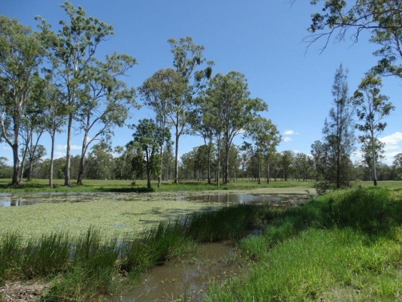 Lot 62 Taunton Road, Euleilah QLD 4674