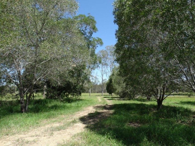 Lot 62 Taunton Road, Euleilah QLD 4674
