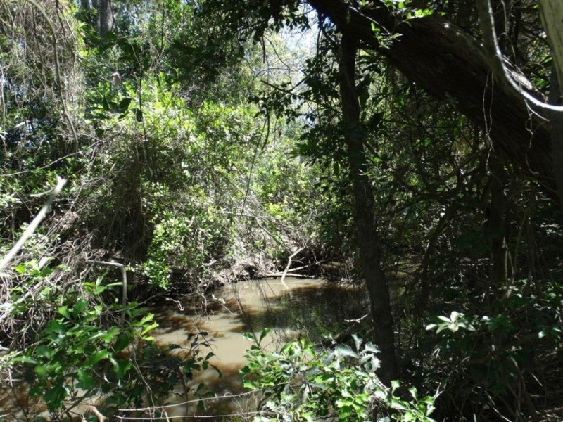 Lot 62 Taunton Road, Euleilah QLD 4674