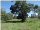 Lot 62 Taunton Road, Euleilah QLD 4674