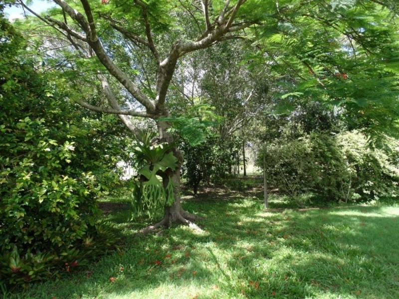 8 Maidments Road, Yandaran QLD 4673