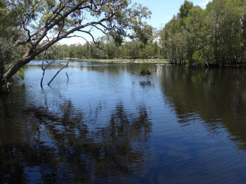 94 Freshwater Court, Deepwater QLD 4674