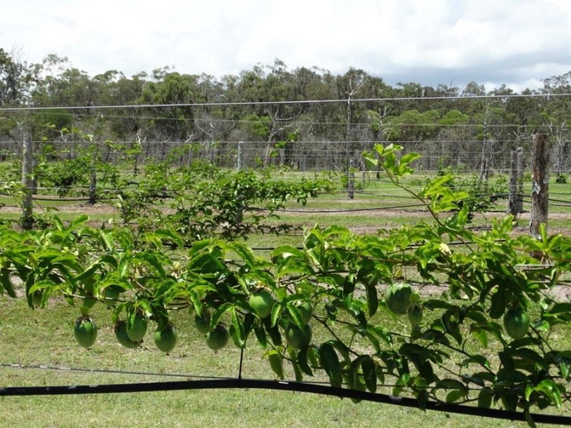 94 Freshwater Court, Deepwater QLD 4674