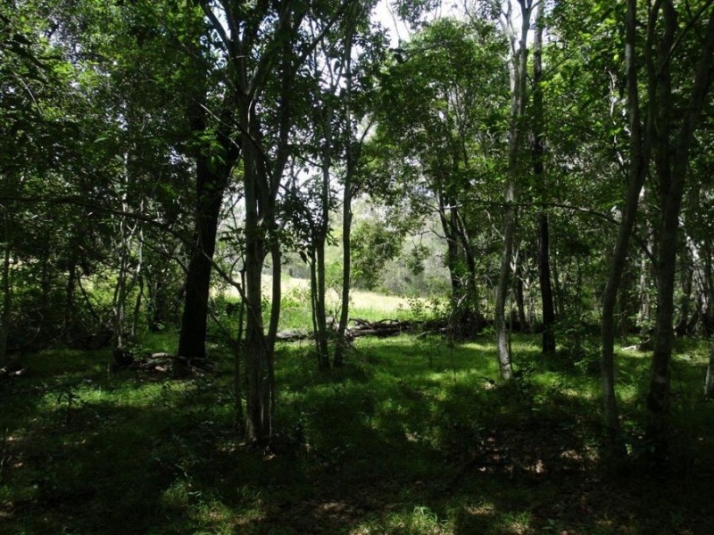 454 Quarry Road, Bucca QLD 4670