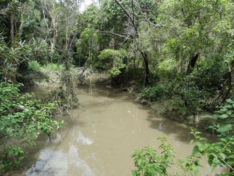 454 Quarry Road, Bucca QLD 4670