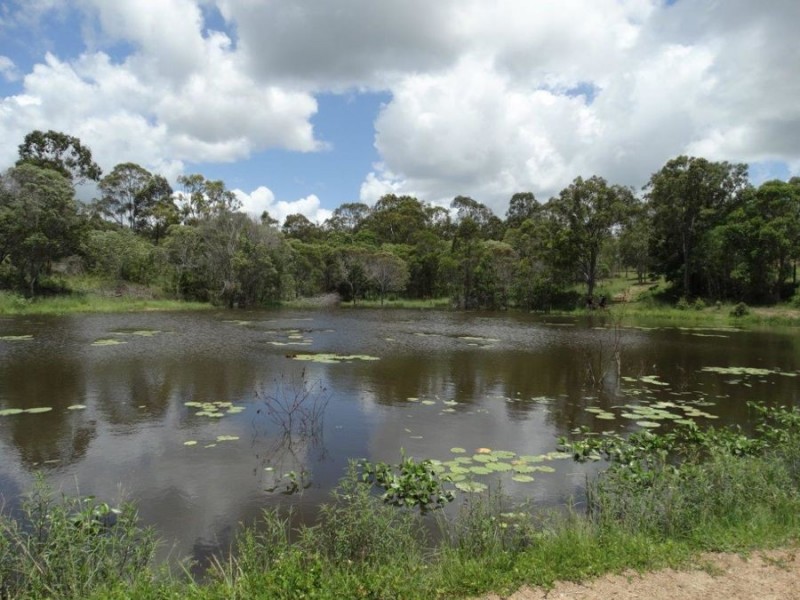 1297 Hills Road, Euleilah QLD 4674