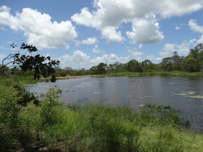 1297 Hills Road, Euleilah QLD 4674